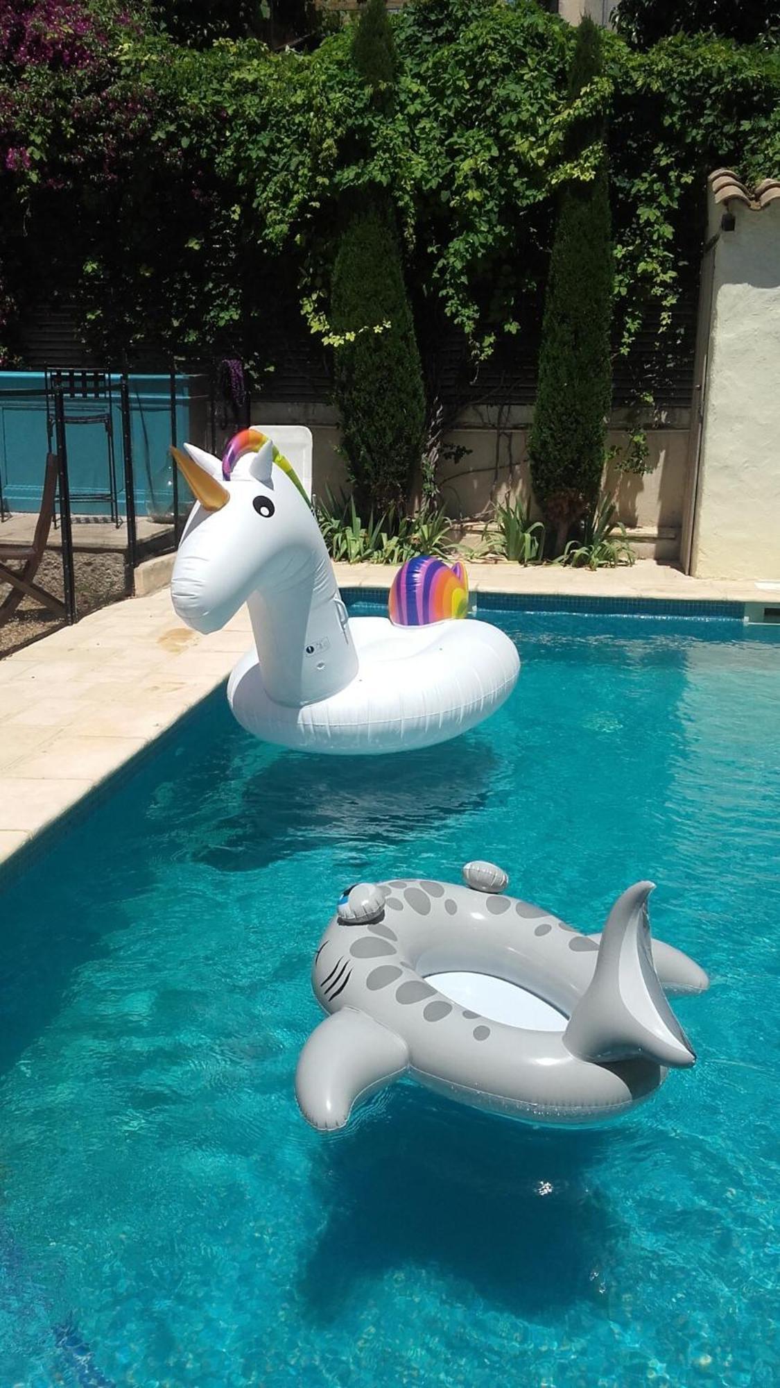 Maison Pelissier Bed And Breakfast With Sweeming Pool Cuxac-d'Aude Экстерьер фото